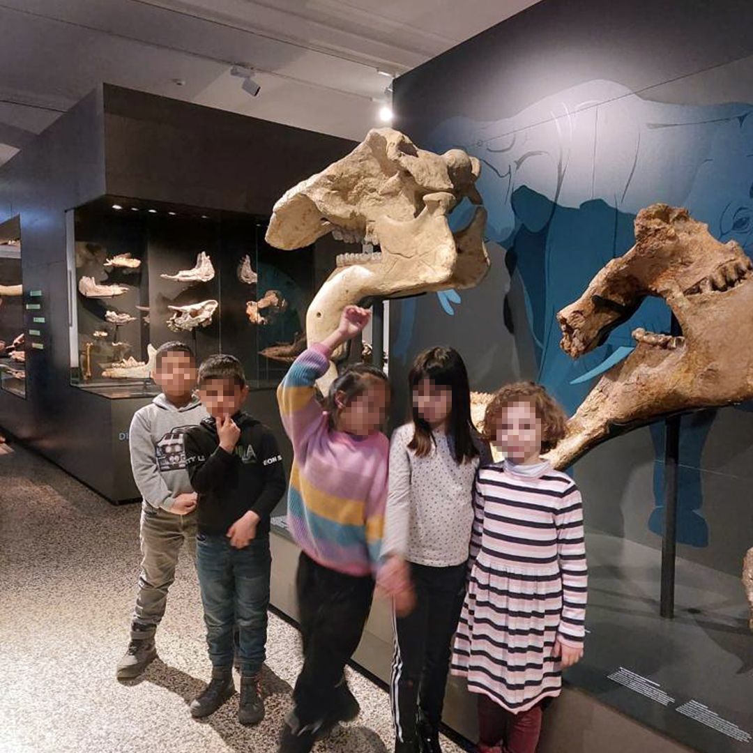 viasd at the vivarium